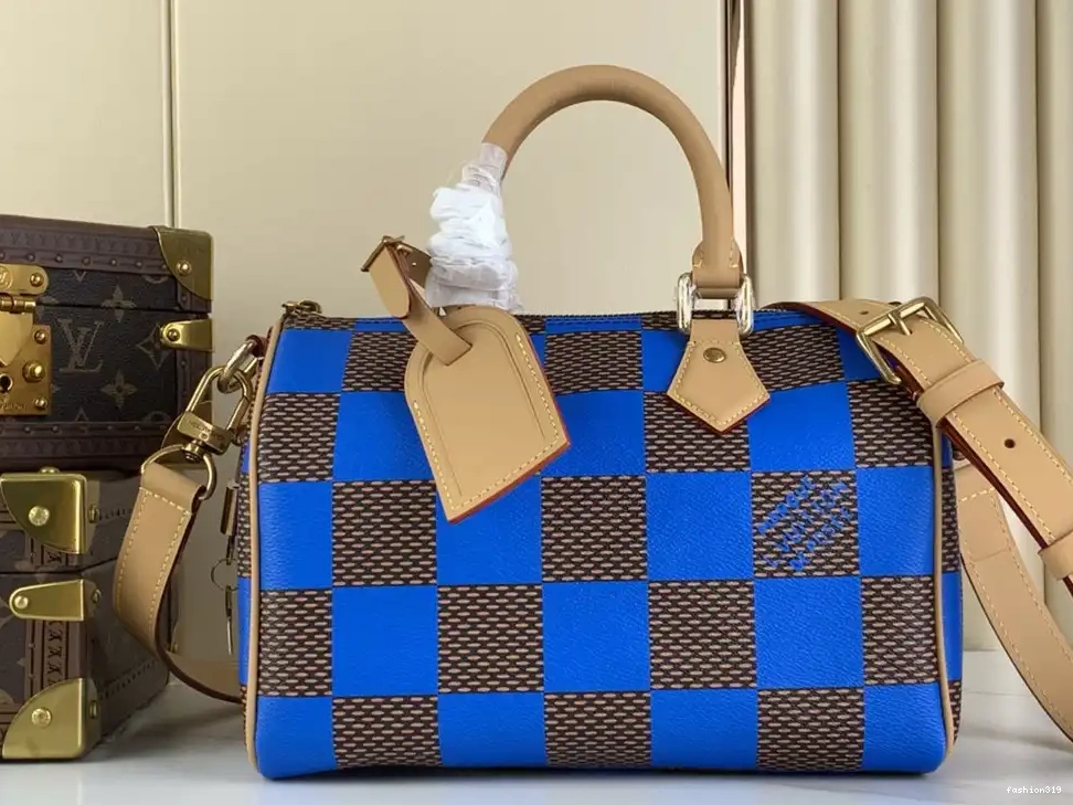 Louis SPEEDY Vuitton 25 0330